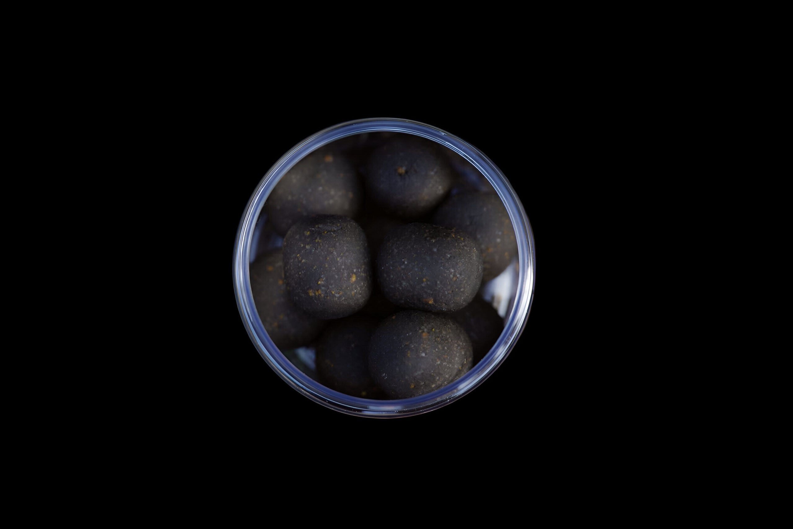 Garlic Infusion Euro Dumbell