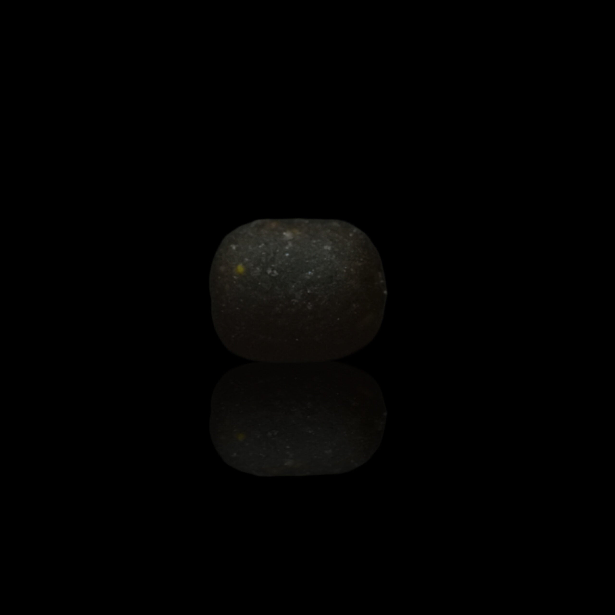 Garlic Infusion Dumbell Hookbaits